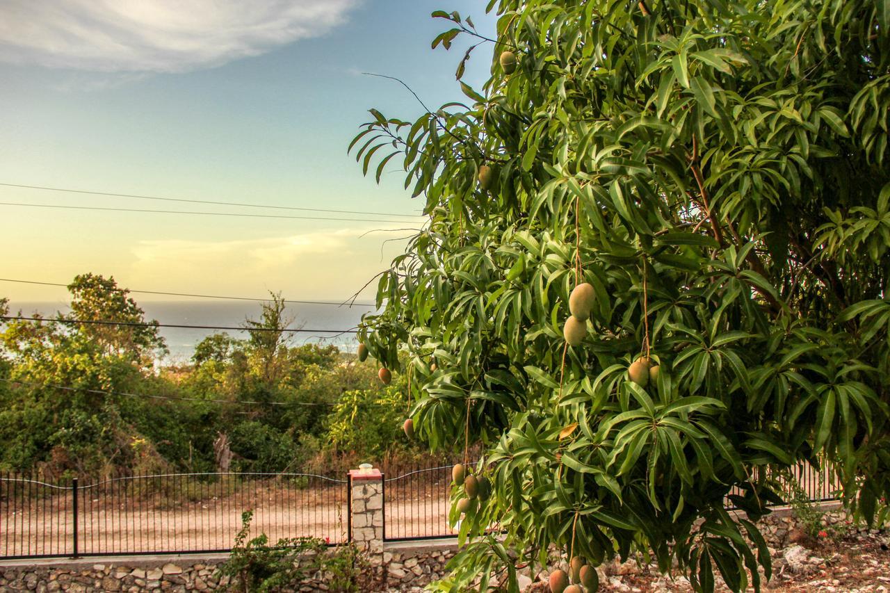 Sunshine Lodge: Your Home Away From Home Бухта Монтего Экстерьер фото