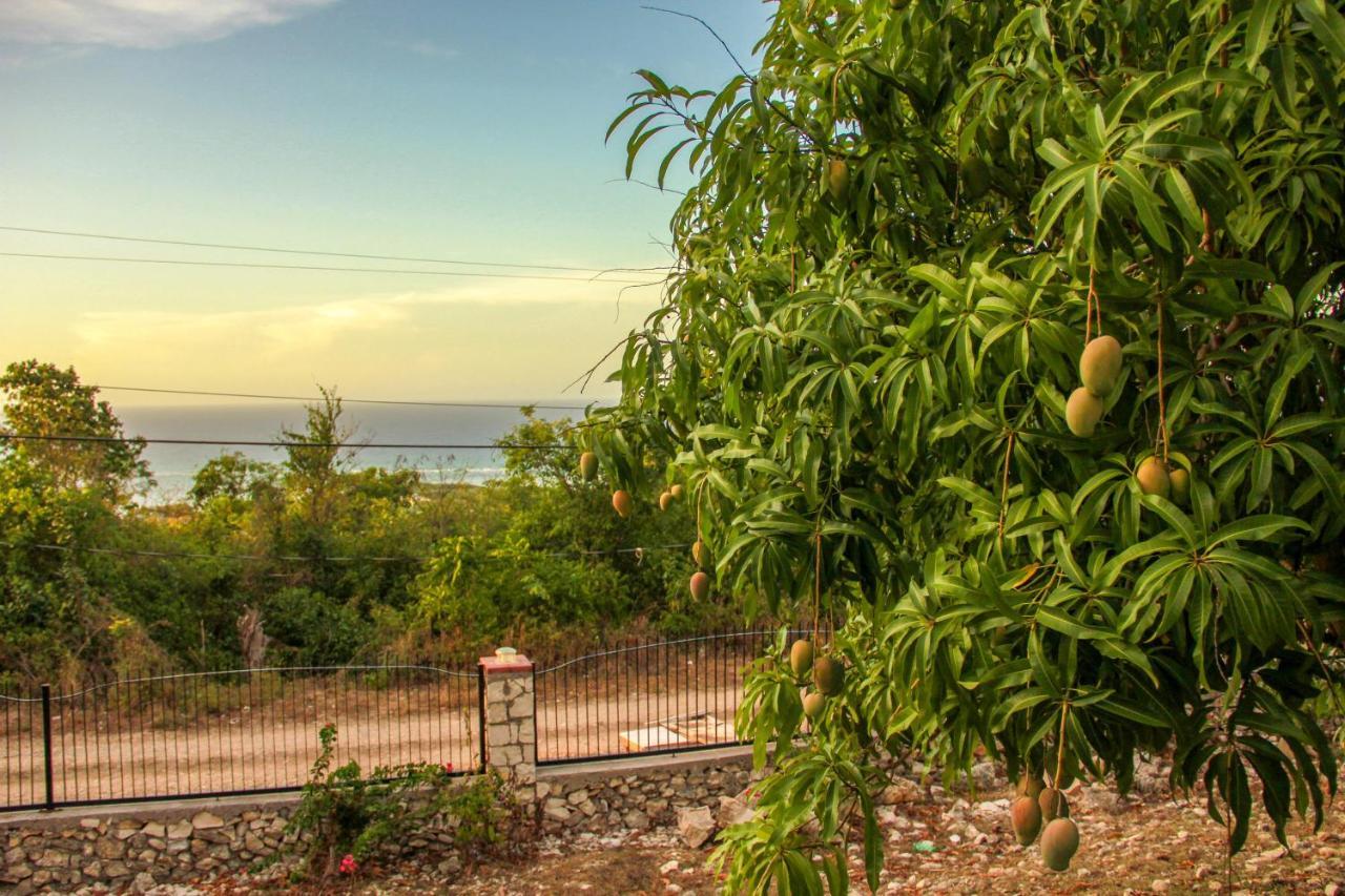 Sunshine Lodge: Your Home Away From Home Бухта Монтего Экстерьер фото