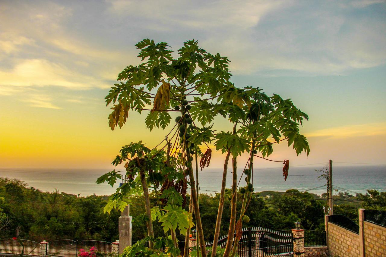 Sunshine Lodge: Your Home Away From Home Бухта Монтего Экстерьер фото